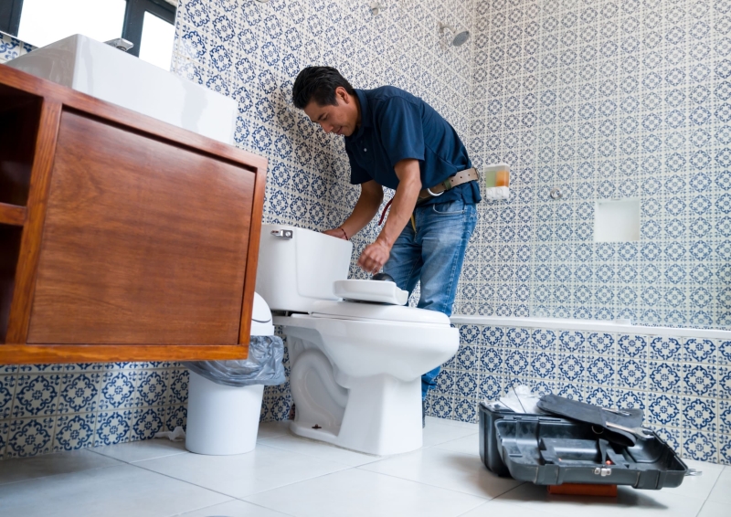 Toilet Repair in Loveland, CO